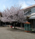 認定こども園 多摩川幼稚園の画像