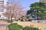 五条公園
