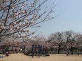 妙法寺川公園