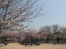 妙法寺川公園