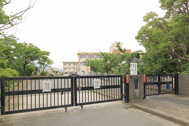 の画像