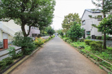 玉川上水第二緑道