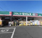 ドラッグセイムス師岡店
