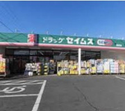 ドラッグセイムス師岡店