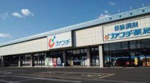 カワチ薬品 加須店の画像1