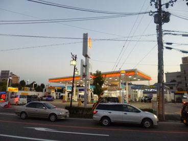 シェルの画像1