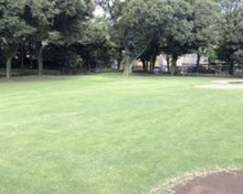 目白台運動公園 芝生広場