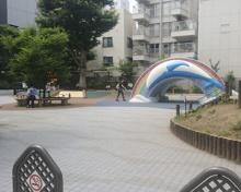 文京区立新花公園