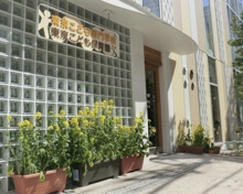 東京 こども保育園