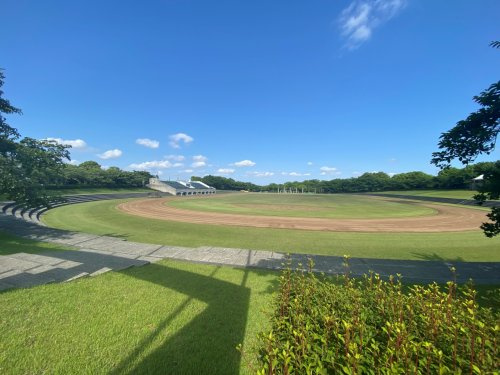 稲城中央公園の画像