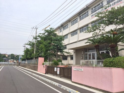 の画像