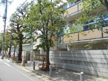 品川区立荏原第五中学校