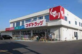 スギドラッグ 加須店の画像1