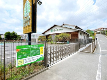 松の実保育園の画像1