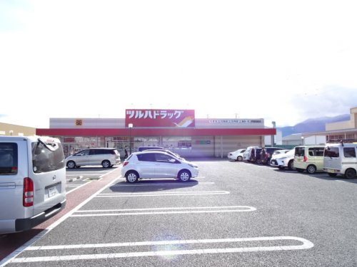 の画像