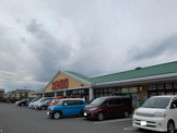 せんどう美しが丘店