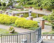 公園 文京区立元町公園