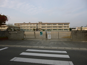 楠小学校の画像2