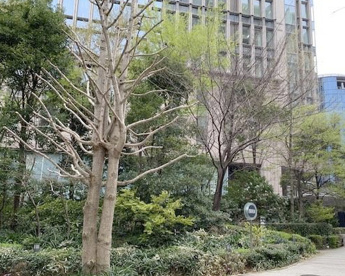 赤坂ガーデンシティの画像1
