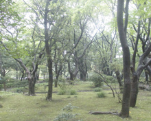 公園 高橋是清翁記念公園