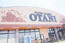 フードオアシスOTANI(オータニ) 五代店