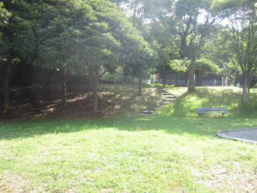八王子公園の画像3