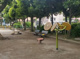 練馬区立平和台児童公園の画像