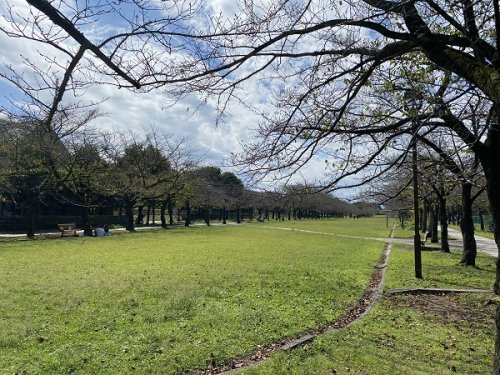 宝野公園の画像