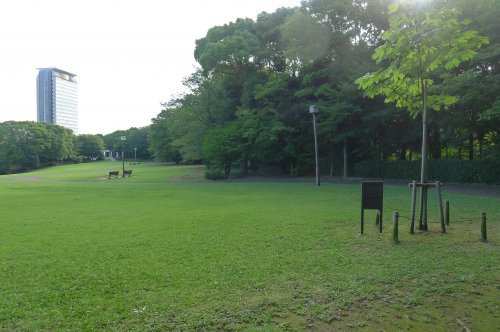 多摩中央公園の画像