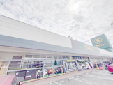セキチュー 鹿沼店