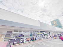 セキチュー 鹿沼店