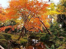 蘇峰公園の画像1