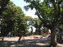 世田谷区立若林公園