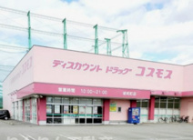 コスモス