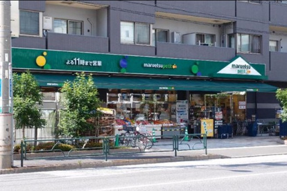 マルエツプチの画像1