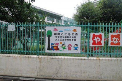 文京区立柳町幼稚園・保育園の画像3