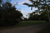 木更津市 小櫃堰公園