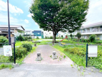 上中公園