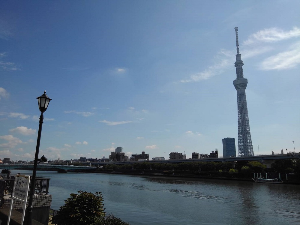 の画像