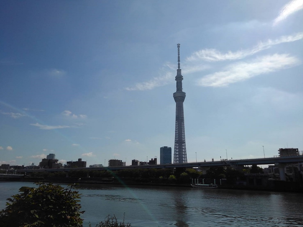 の画像