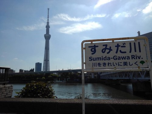 の画像