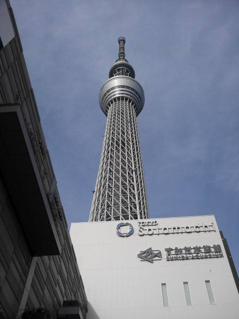 の画像