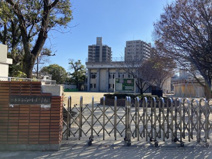 熊本市立白川小学校