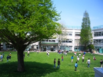 大宮小学校