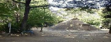 都立和田堀公園の画像1
