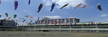 国領小学校