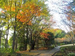 牟礼の里公園の画像1