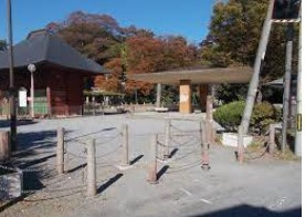 拝島公園の画像1