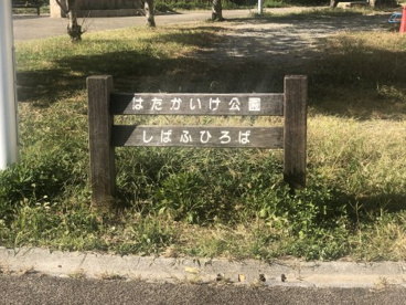 はたかいけ公園の画像2