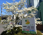 動物病院 ペットクリニッククローバー